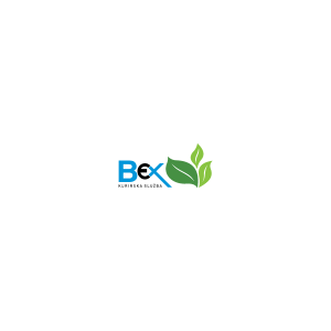 bex-logo